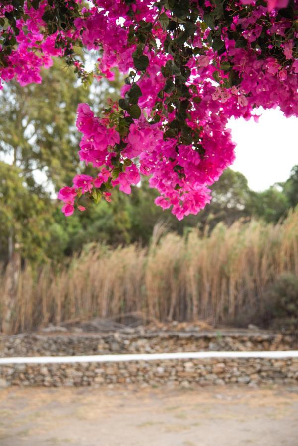 Island House Mare Apartment Mylopotas Bagian luar foto