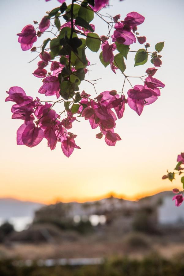 Island House Mare Apartment Mylopotas Bagian luar foto